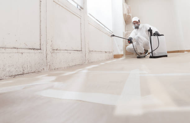 24/7 Emergency Attic Mold Removal experts in Hightstown, NJ