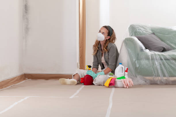 Reliable Attic Mold Removal contractor in Hightstown, NJ by WQB Mold Removal